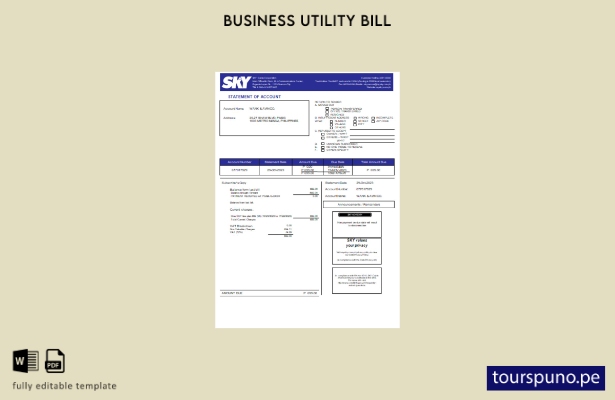lista para imprimir plantilla de factura comercial de servicios públicos de Sky 